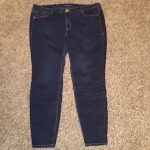 Lane Bryant genius fit skinny blue jeans size 18